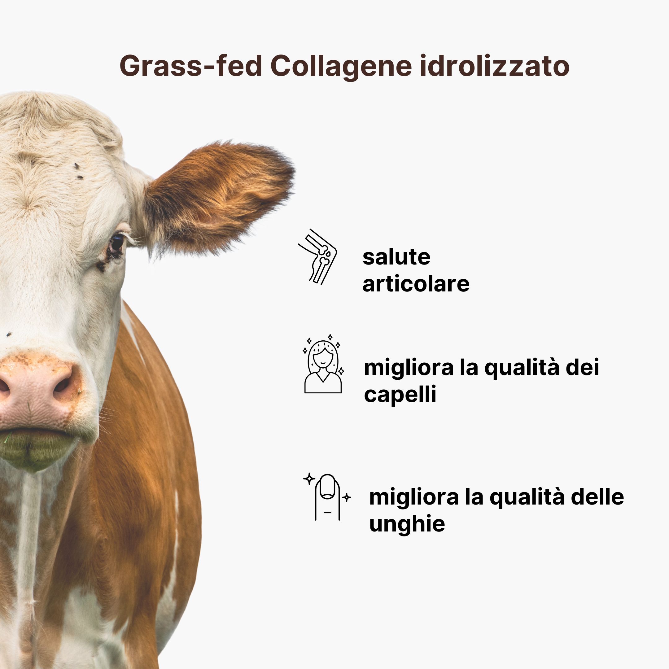 (Italština) (3)_1